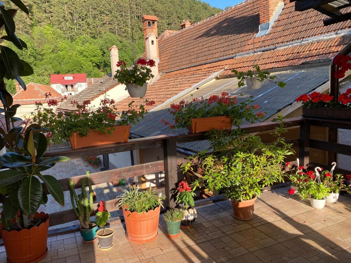 Victoria Gasthaus Rasnov - Charming Vacation House In Rasnov Extérieur photo