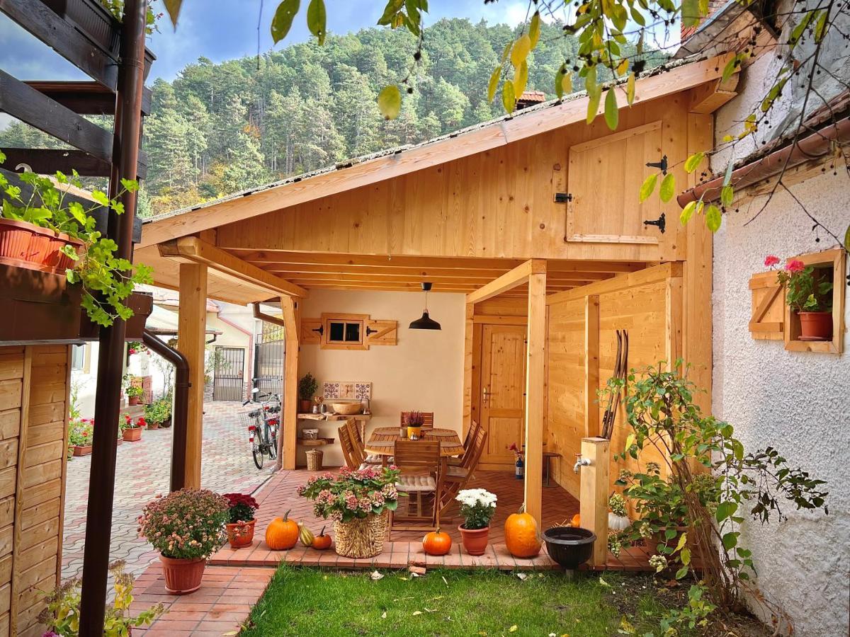 Victoria Gasthaus Rasnov - Charming Vacation House In Rasnov Extérieur photo