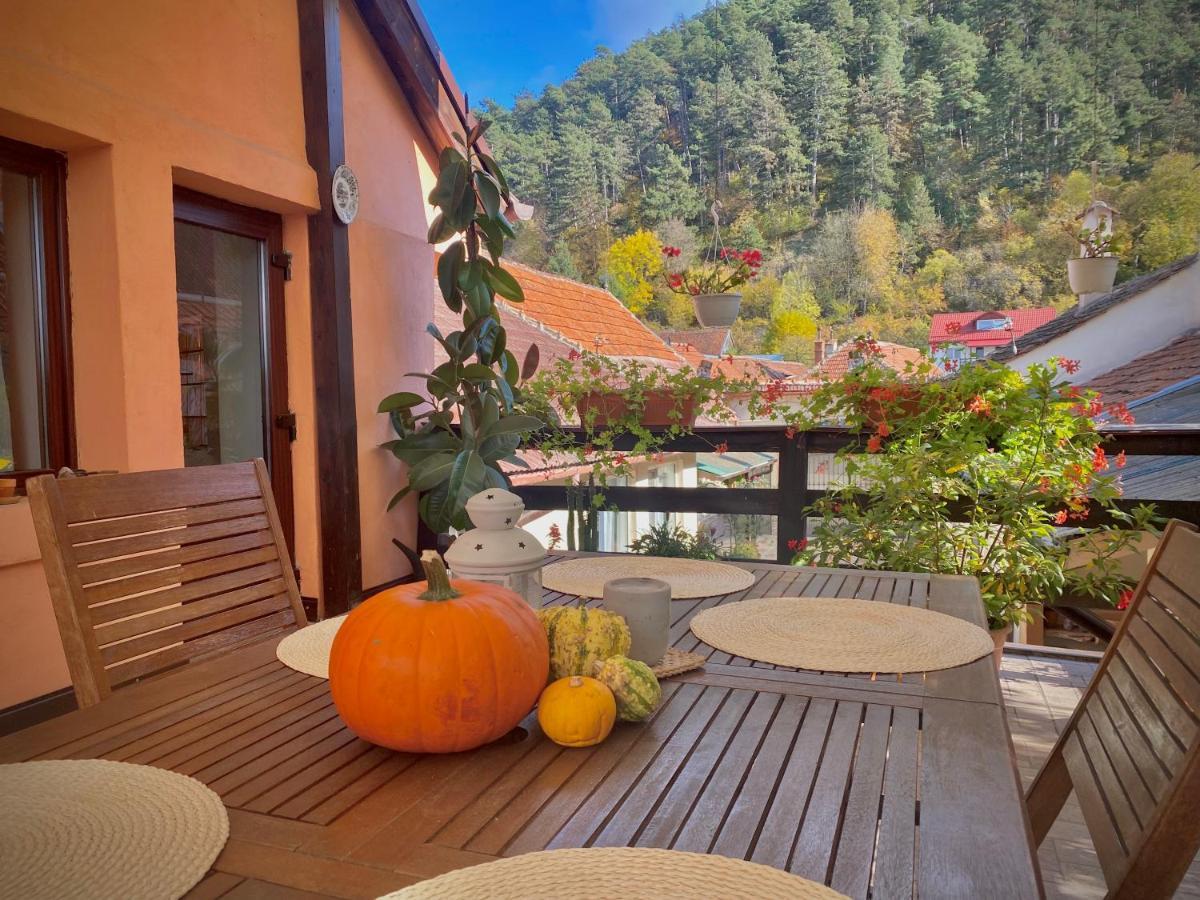Victoria Gasthaus Rasnov - Charming Vacation House In Rasnov Extérieur photo