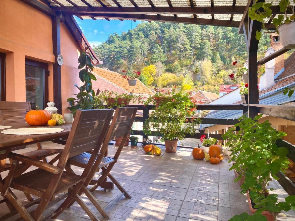Victoria Gasthaus Rasnov - Charming Vacation House In Rasnov Extérieur photo